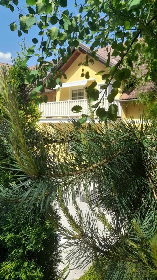 Glanz Und Gloria Velden! Woerthersee In 5 Min Zu Fuss Erreichbar! 沃尔特湖畔韦尔登 外观 照片