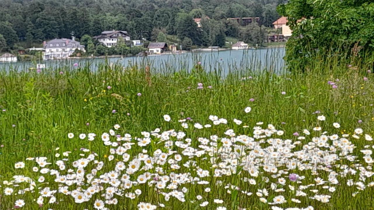 Glanz Und Gloria Velden! Woerthersee In 5 Min Zu Fuss Erreichbar! 沃尔特湖畔韦尔登 外观 照片