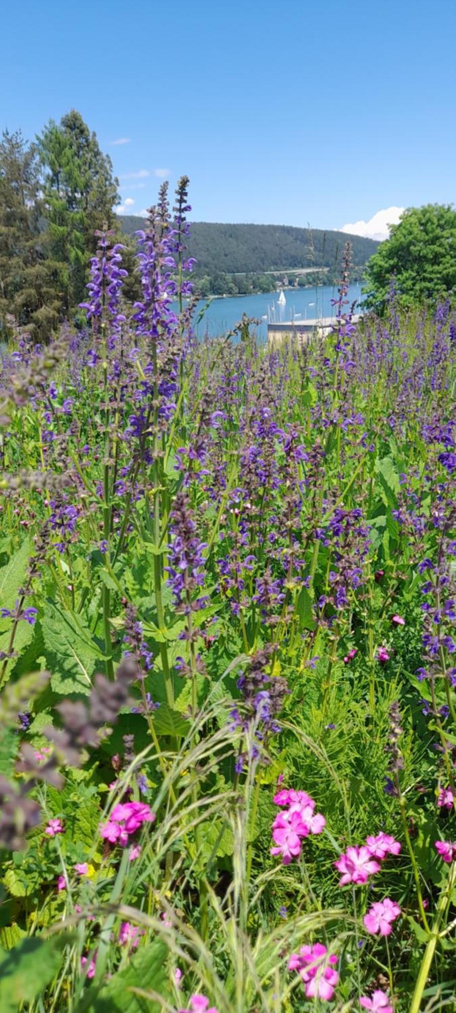 Glanz Und Gloria Velden! Woerthersee In 5 Min Zu Fuss Erreichbar! 沃尔特湖畔韦尔登 外观 照片